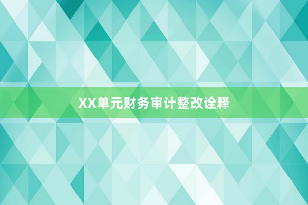 XX单元财务审计整改诠释
